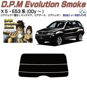 Âݍi BMW-X5 E53n(00y`)PiJbgς݃J[tB