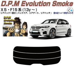 Âݍi BMW-X5 F15n(13y`)PiJbgς݃J[tB