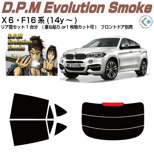 i BMW-X6 F16n(14y`)Jbgς݃J[tB AZbg