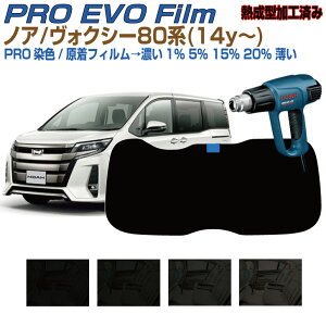 Âݍi mA 80n(14y`)M^ς Hς Jbgς݃J[tB