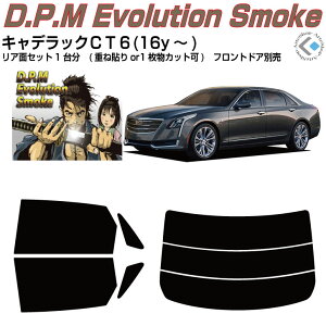 i LfbN CT6(16y`)Jbgς݃J[tB AZbg