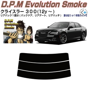 Âݍi NCX[ 300(12y`)PiJbgς݃J[tB