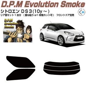 i VgG DS3(10y`)Jbgς݃J[tB AZbg