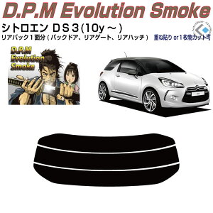 Âݍi VgG DS3(10y`)PiJbgς݃J[tB