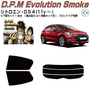 i VgG DS4(11y`)Jbgς݃J[tB AZbg