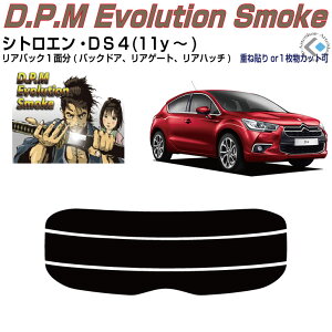 Âݍi VgG DS4(11y`)PiJbgς݃J[tB