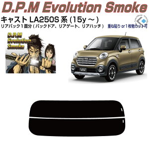 Âݍi LXg LA250Sn(15y`)PiJbgς݃J[tB