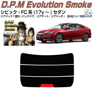 Âݍi VrbN FCn(17y`)Z_PiJbgς݃J[tB