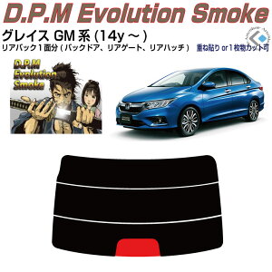 Âݍi OCX GMn(14y`)PiJbgς݃J[tB