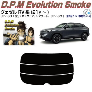 Âݍi F[ RVn(21y`)PiJbgς݃J[tB