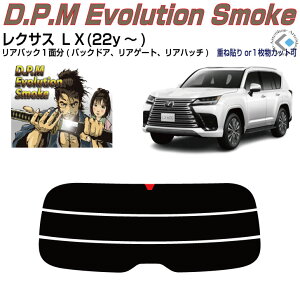 Âݍi NTX LX(22y`)PiJbgς݃J[tB