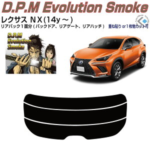 Âݍi NTX NX(14y`)PiJbgς݃J[tB