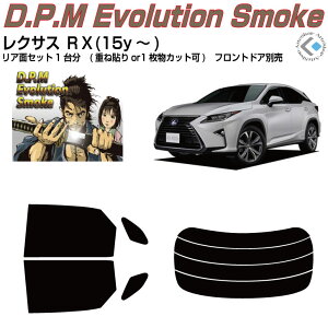 i NTX RX(15y`)Jbgς݃J[tB AZbg