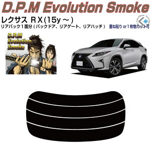 Âݍi NTX RX(15y`)PiJbgς݃J[tB