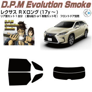 i NTX RXO(17y`)Jbgς݃J[tB AZbg