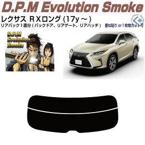 Âݍi NTX RXO(17y`)PiJbgς݃J[tB