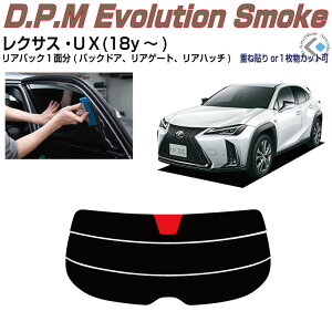 Âݍi NTX UX(18y`)PiJbgς݃J[tB