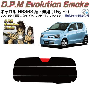 Âݍi L HB36Sn(15y`)pPiJbgς݃J[tB