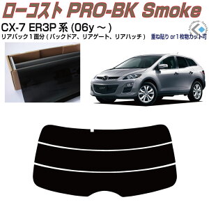 Â݌ CX-7 ER3Pn(06y`)PiJbgς݃J[tB