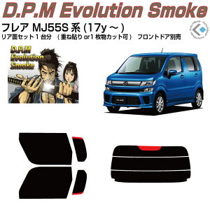 i tA MJ55Sn(17y`)Jbgς݃J[tB AZbg