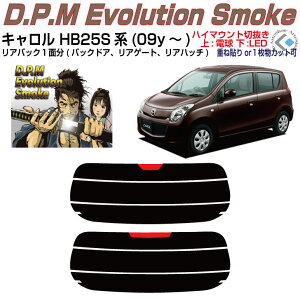 Âݍi L HB25Sn(09y`)PiJbgς݃J[tB