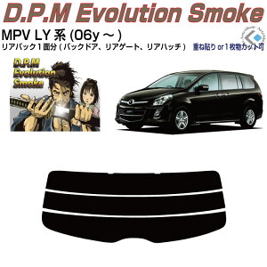 Âݍi MPV LYn(06y`)PiJbgς݃J[tB