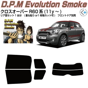 i MINI-NXI[o[ R60n(11y`)Jbgς݃J[tB AZbg