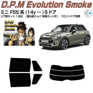 i MINI-~j F55n5hA(14y`)3ځJbgς݃J[tB AZbg