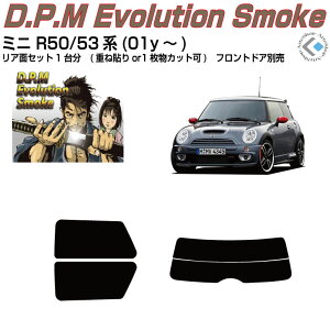 i MINI-~j R50/53n(01y`)ぞJbgς݃J[tB AZbg