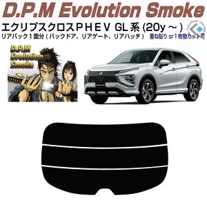 Âݍi GNvXNXPHEV GLn(20y`)PiJbgς݃J[tB