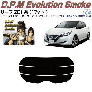 Âݍi [t ZE1n(17y`)PiJbgς݃J[tB