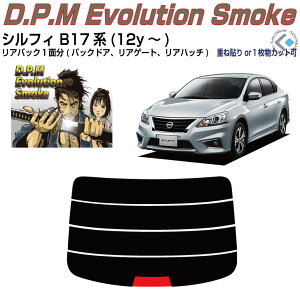 Âݍi VtB B17n(12y`)PiJbgς݃J[tB