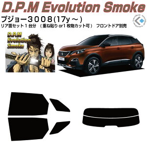 i vW[3008(17y`)2ځJbgς݃J[tB AZbg