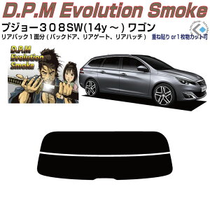 ���A�̂ݍ��i �v�W���[308SW���S��(14y�`)2��ځ��P�i�J�b�g�ς݃J�[�t�B����