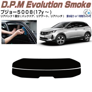 Âݍi vW[5008(17y`)2ځPiJbgς݃J[tB