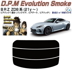 Âݍi XoBRZ ZD8n(21y`)PiJbgς݃J[tB