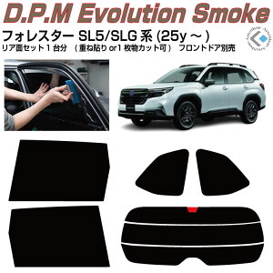 ���i �t�H���X�^�[ SL5/SLG�n(25y�`)���J�b�g�ς݃J�[�t�B���� ���A�Z�b�g