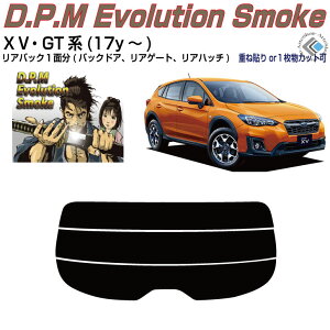 Âݍi XoXV GTn(17y`)PiJbgς݃J[tB