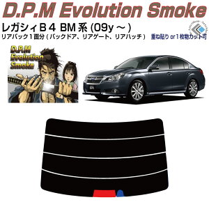 Âݍi KVBB4 BMn(09y`)PiJbgς݃J[tB