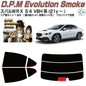 i XoWRX S4 VBHn(21y`)Jbgς݃J[tB AZbg