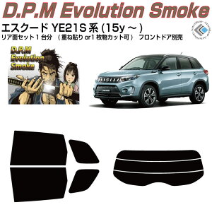 i GXN[h YE21Sn(15y`)Jbgς݃J[tB AZbg