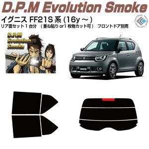 i COjX FF21Sn(16y`)Jbgς݃J[tB AZbg