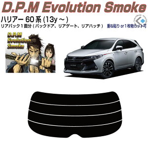 Âݍi nA[ 60n(13y`)PiJbgς݃J[tB