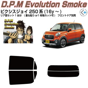 i sNVXWC 250n(16y`)Jbgς݃J[tB AZbg