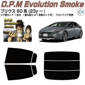 i vEX 60n(23y`)Jbgς݃J[tB AZbg