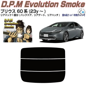 Âݍi vEX 60n(23y`)PiJbgς݃J[tB