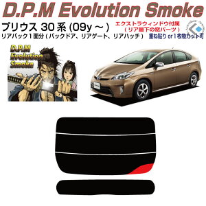 Âݍi vEX 30n(09y`)PiJbgς݃J[tB