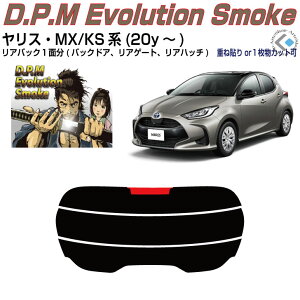 Âݍi X MX/KSn(20y`)PiJbgς݃J[tB