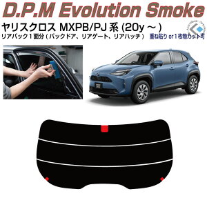 Âݍi XNX MXPB/PJn(20y`)PiJbgς݃J[tB