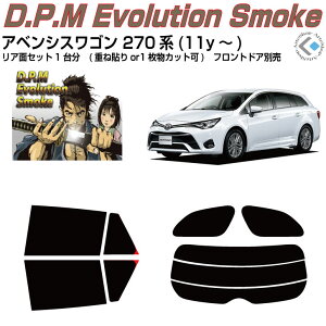 i AxVXS 270n(11y`)Jbgς݃J[tB AZbg